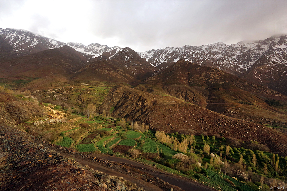 01_3_ONMT_Haut_Atlas_Central_Region_Toubkal ©Copyright ONMT