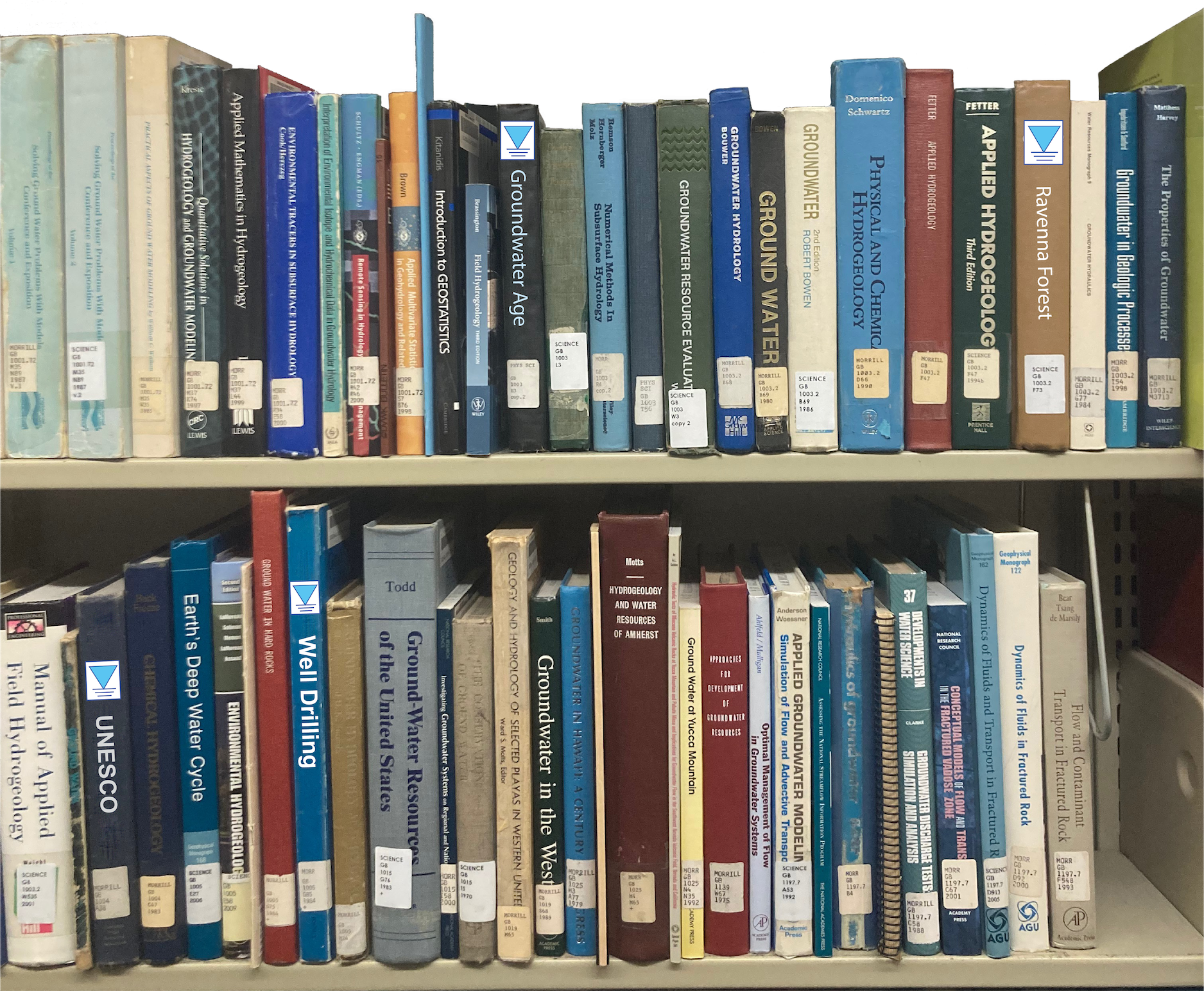 Aunt Darcy’s Library