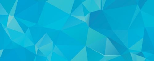 IWRA Webinar – N°21