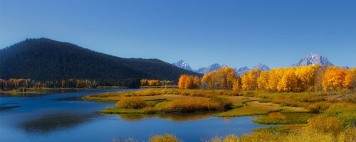 IWRA Update: March Newsletter 2018