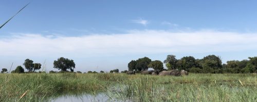 Keep Informed with IWRA Update, December 2019 Newsletter!