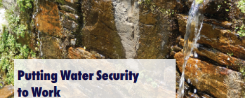 Water International Policy Brief N°12