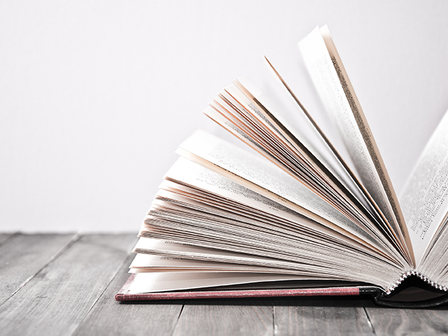 In case you missed it: Read IWRA Update, December 2020 Newsletter!