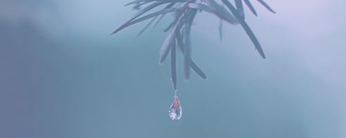 In memoriam:  John Anthony (Tony) Allan (29 January 1937 – 15 April 2021)