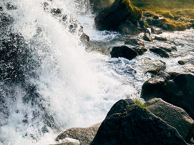 Access the latest IWRA Policy Brief on Wicked Problems Swamp Water Quality Governance!