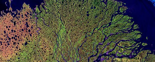 IWRA’s 2020 Online Conference (28-30 October)❗