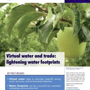 Water International Policy Brief N°17
