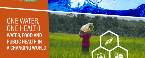 Deadline Extension: Submit your Abstract for IWRA’s 2021 Online Conference (7-9 June)❗