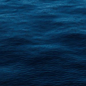 Now Online: Water International’s New Issue (48,3)!