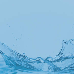 Now Online: Water International Issue (50, 3-4)!