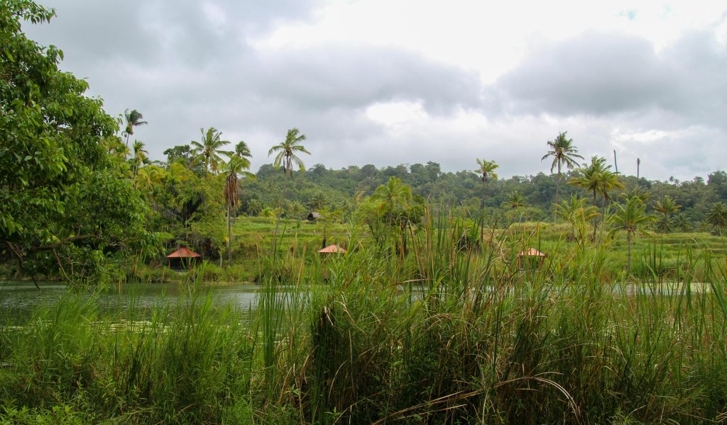 IWRA Update – December 2025