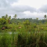 IWRA Update – December 2025