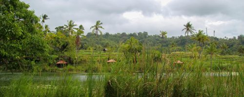 IWRA Update – December 2025