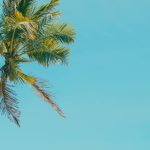 Call for Proposals Now Open – 2nd Islands Water Congress
