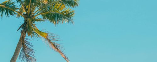 Call for Proposals Now Open – 2nd Islands Water Congress