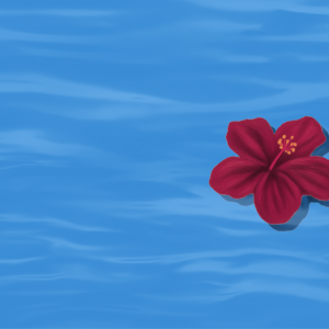 2nd Islands Water Congress – Revised Dates