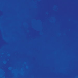 Out now: latest issue of Water International!