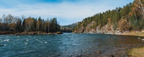 IWRA Update – June 2026